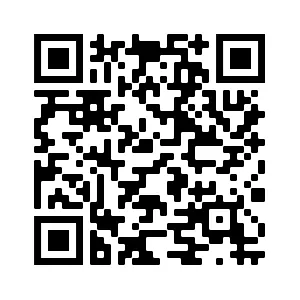 PayPal QR Code